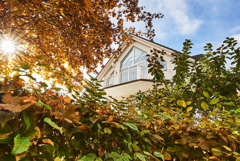 Marktentwicklung Immobilien Windisch Immobilien