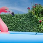 den Pool im eigenen Garten, Gartenpool, Sehnsucht nach Sommerflair, Maklerwissen, Blog Windisch Immobilien, Immobilienblog