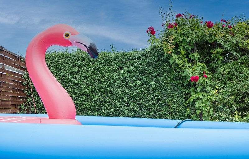 den Pool im eigenen Garten, Gartenpool, Sehnsucht nach Sommerflair, Maklerwissen, Blog Windisch Immobilien, Immobilienblog