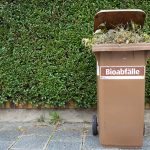 Maden in der Biotonne bekämpfen, Immobilienblog Windisch Immobilien, gut zu wissen, Tips Haus und Restmüll