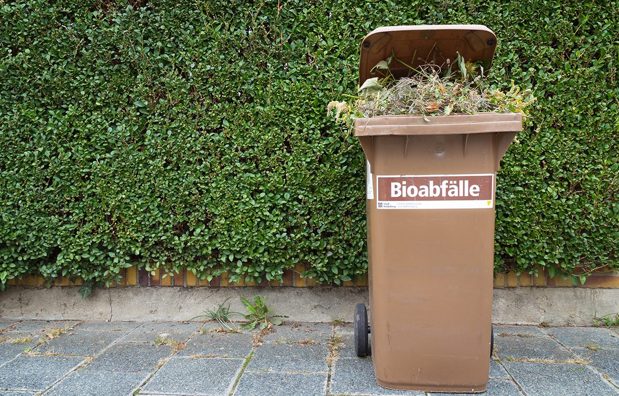 Maden in der Biotonne  gezielt vorbeugen und bekmpfen - WINDISCH  IMMOBILIEN