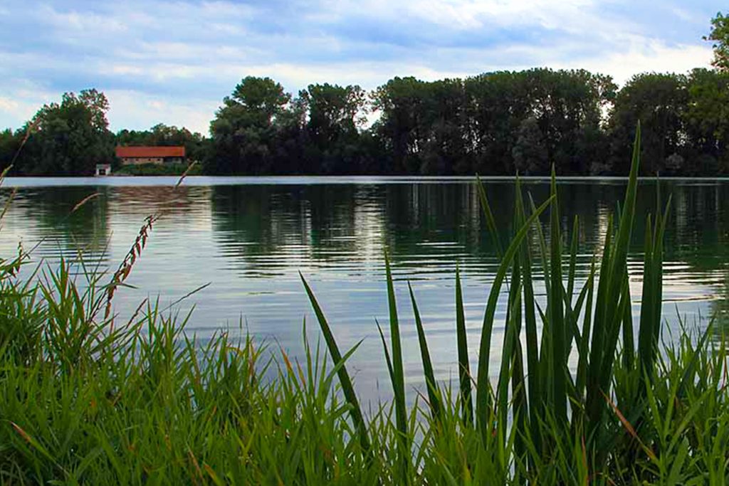 Langwieder See, Infrastruktur Lochhausen, Immobilienmakler