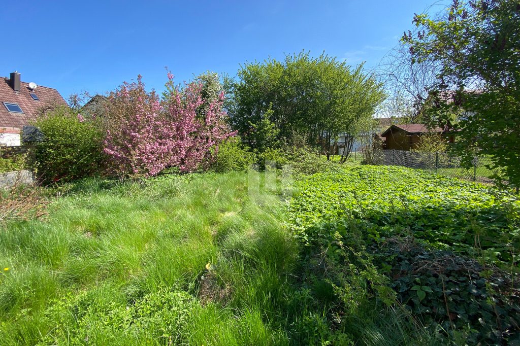 Immobilienangebot - Olching / Esting - Grundstücke - Für den Käufer provisionsfrei! - Baugrundstück mit genehmigten Vorbescheid in Olching / Neu-Esting