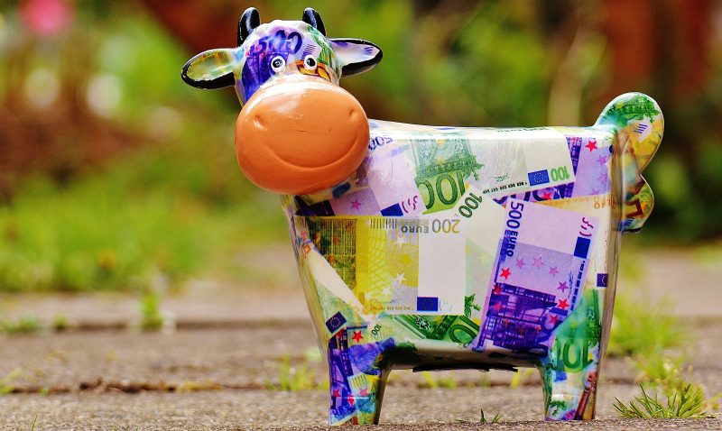 Cash Cow picabay cow-1357201 Kopie