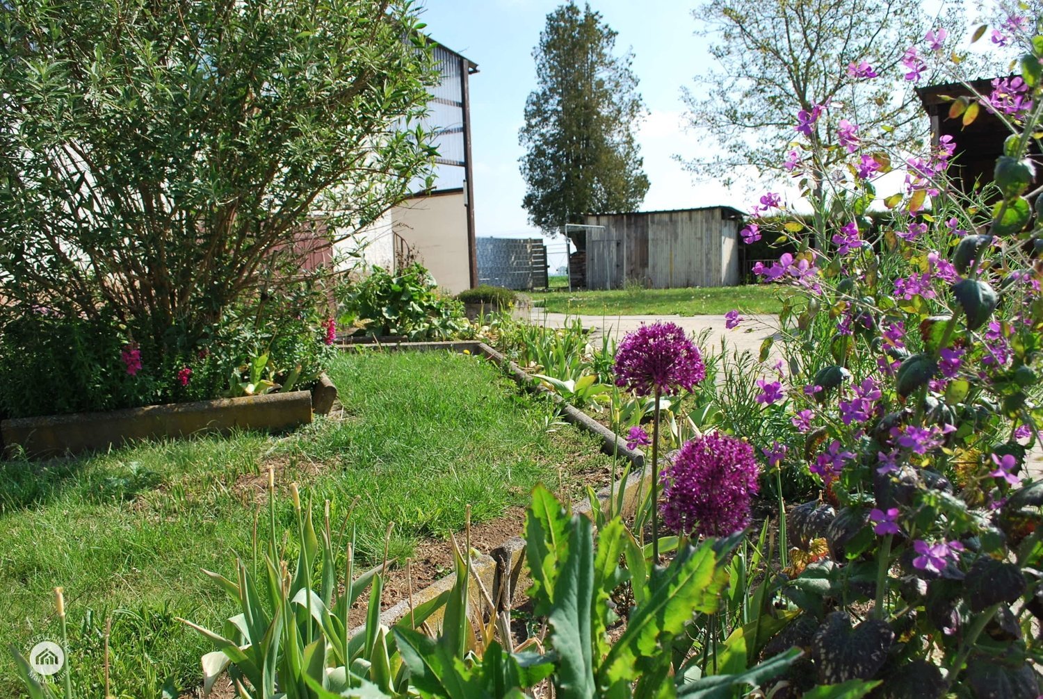 Immobilienangebot - Lauingen (Donau) - Alle - renovierungsbedürftige Doppelhaushälfte mit ganz besonderem Flair