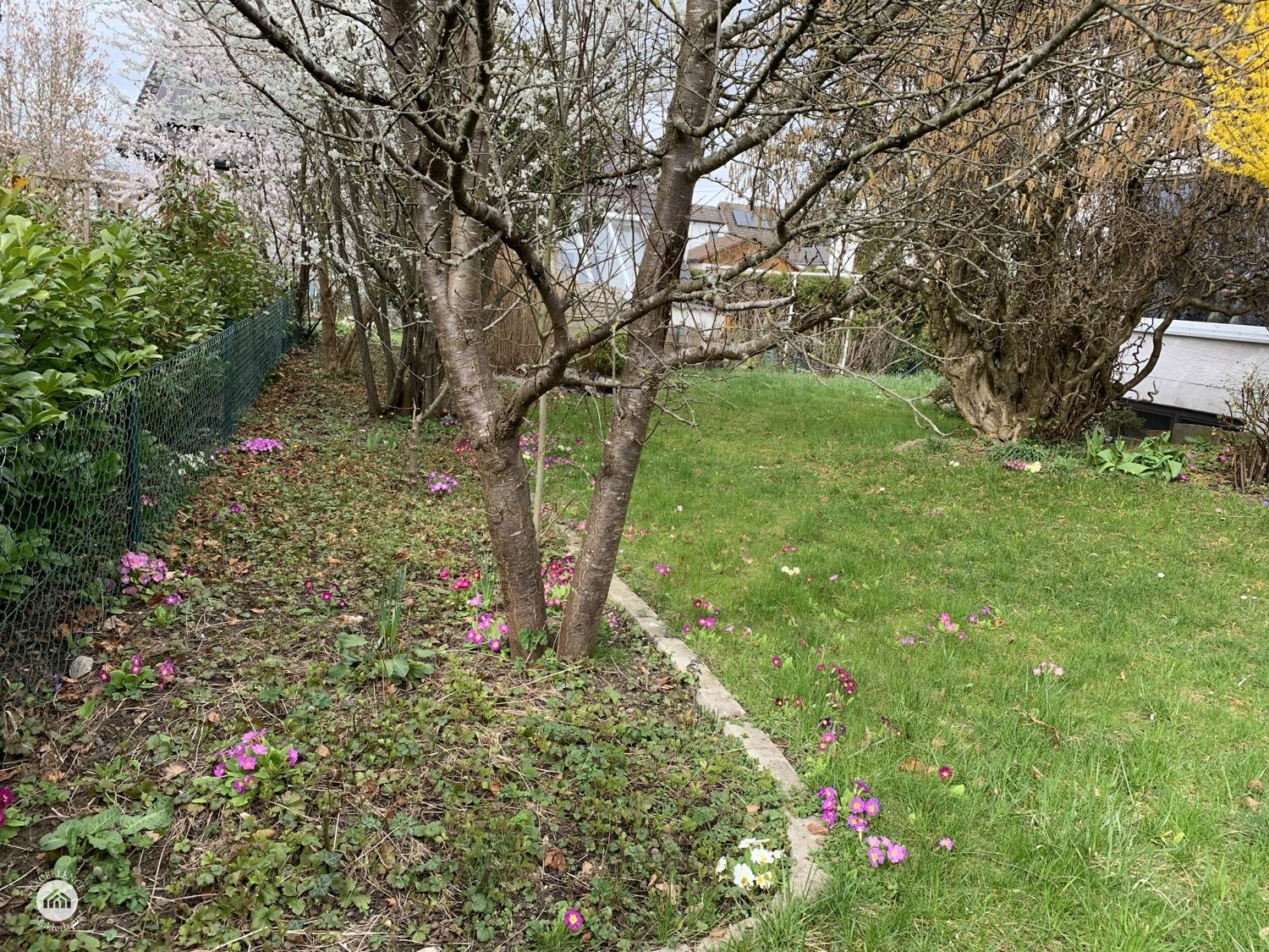 Immobilienangebot - Pfaffenhofen an der Roth - Alle - Freistehendes Einfamilienhaus - 138 m² - Grundstück 473 m².  TOP LAGE! Käuferprovisionsfrei!