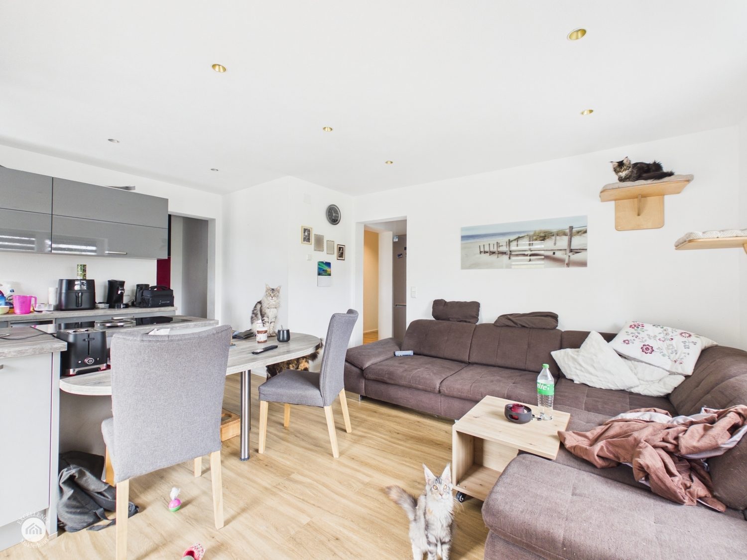 Immobilienangebot - Kammeltal / Hammerstetten - Alle - Modernes Einfamilienhaus mit Einliegerwohnung