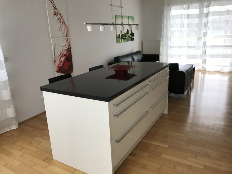Immobilienangebot - Neu-Ulm - Alle - Traumwohnung mit Donaublick in begehrter Neu-Ulmer Lage
