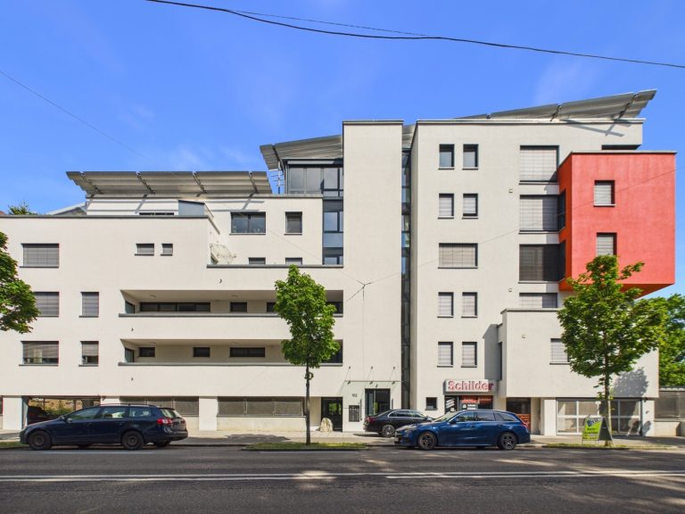 Immobilienangebot - Neu-Ulm - Alle - Traumwohnung mit Donaublick in begehrter Neu-Ulmer Lage
