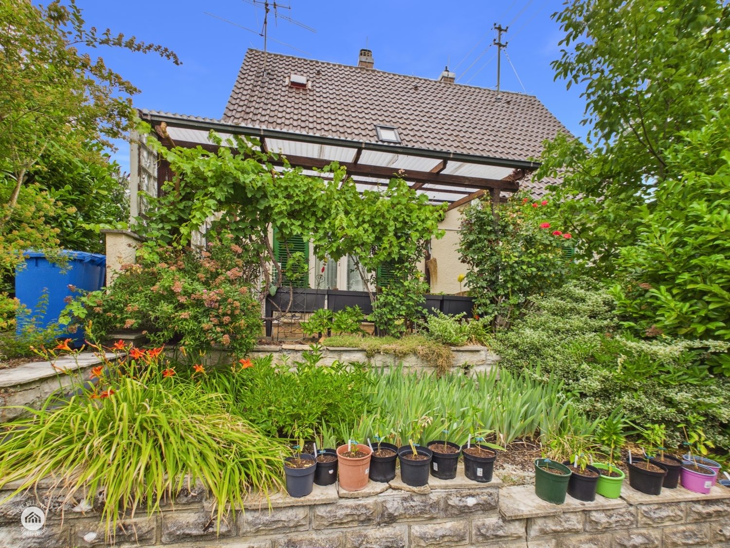 Immobilienangebot - Neuburg an der Kammel - Alle - Hier wird der Traum vom Eigenheim wahr! Einfamilienwohnhaus mit 700 m² Grundstück zum Wohlfühlen!