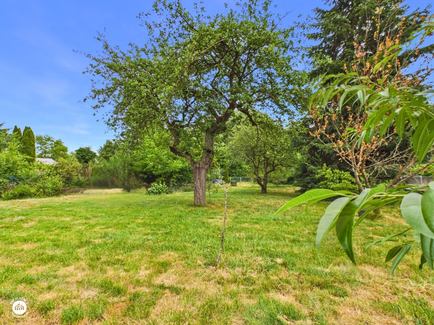 Immobilienangebot - Neuburg/Kammel - Alle - Zauberhaftes Grundstück mit ca. 700 m² zur Bebauung mit Ihrem Wohnhaus!