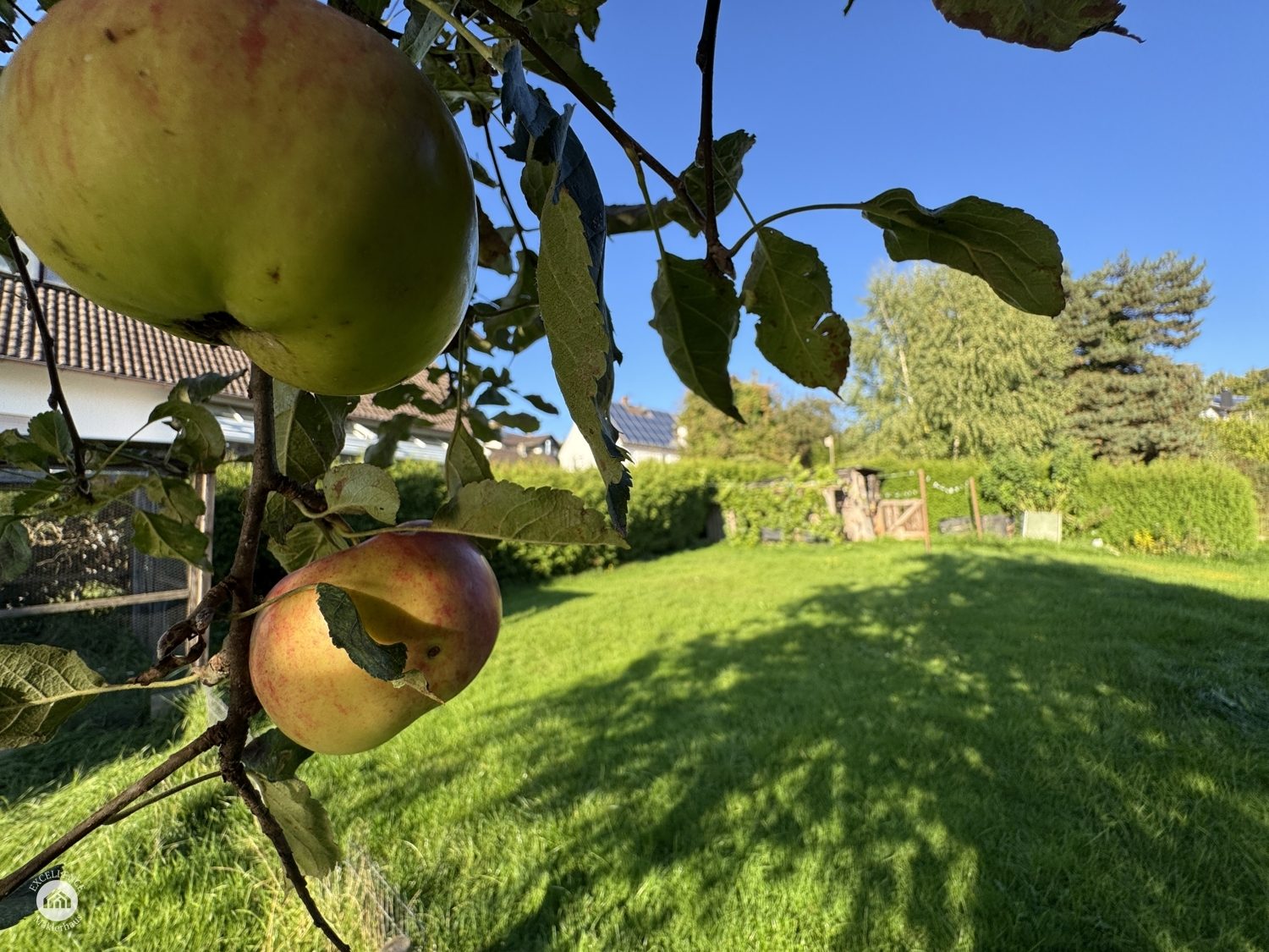 Immobilienangebot - Münsterhausen - Alle - HISTORISCHES EINFAMILIENHAUS mit großem Garten und Scheune -*Käuferprovisionsfrei*