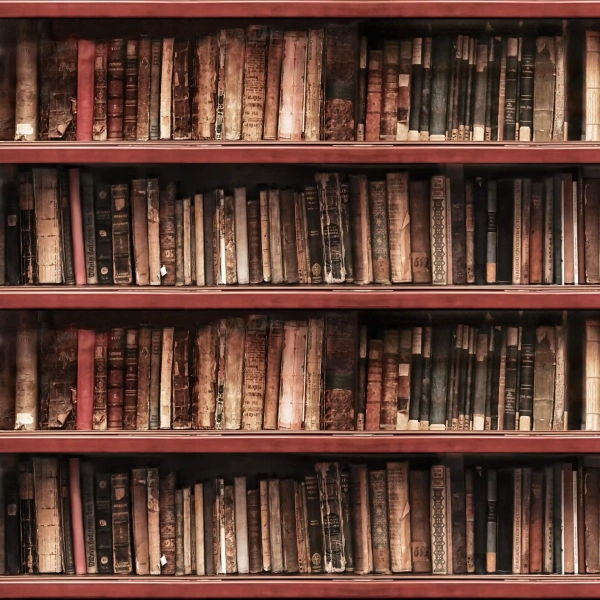 DSGVO Konforme Rechtstexte - Alte Bücher im Bücherregal