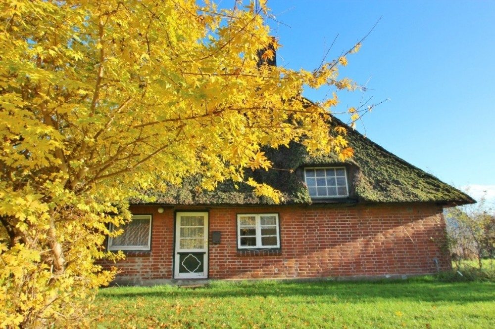 Immobilienangebot - Sasel - Alle & Rest (Wohnen) - Historische Reetdachkate sucht Handwerker