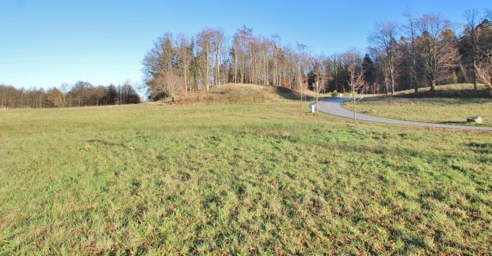 Immobilienangebot - Selent - Alle - Baugrundstücke in Selent - Verwirklichen Sie Ihren (Wohn-)Traum!
