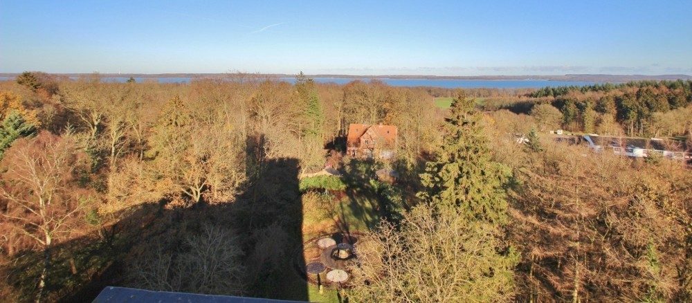 Immobilienangebot - Selent - Alle - Baugrundstücke in Selent - Verwirklichen Sie Ihren (Wohn-)Traum!