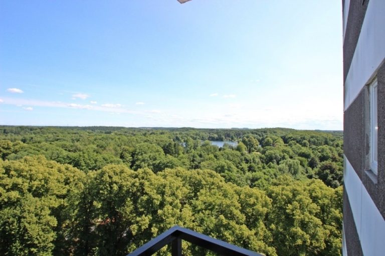 Immobilienangebot - Plön - Alle - Kleines Appartement als Kapitalanlage "mit Weitblick"