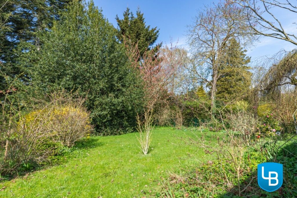 Immobilienangebot - Plön - Alle & Rest (Wohnen) - Reihenendhaus mit Weitblick: Viel Platz für Ihre Wohnideen!