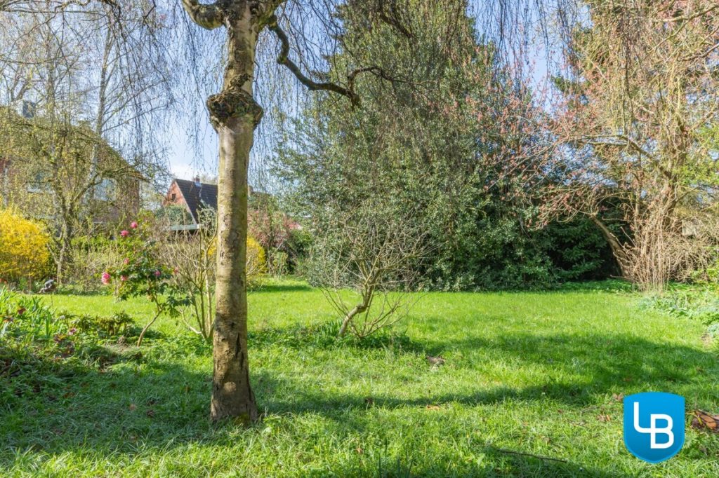 Immobilienangebot - Plön - Alle & Rest (Wohnen) - Reihenendhaus mit Weitblick: Viel Platz für Ihre Wohnideen!