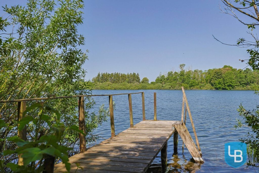 Immobilienangebot - Plön - Alle & Rest (Wohnen) - Doppelhaushälfte auf Seegrundstück mit privatem Steg - Willkommen am Trammer See