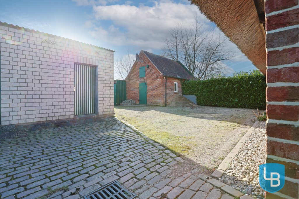 Immobilienangebot - Helmstorf / Kühren - Alle & Rest (Wohnen) - Reetdachidylle im Norden – DHH auf großem Grundstück mit Ausbaupotenzial
