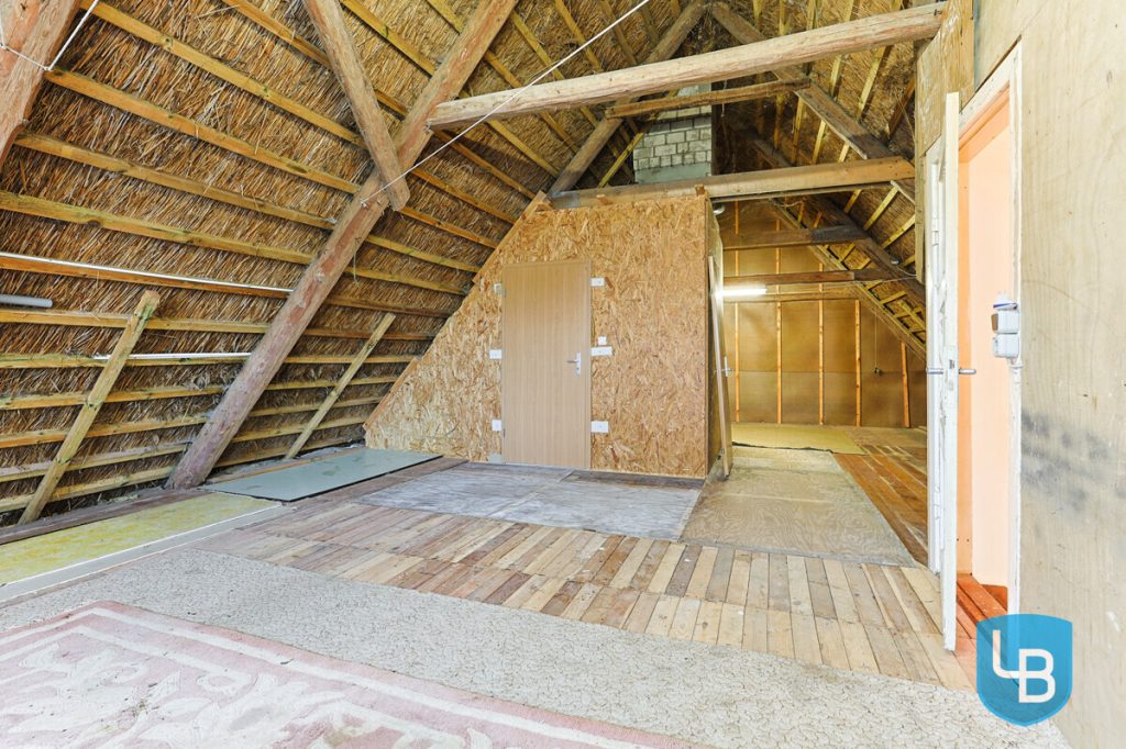 Immobilienangebot - Helmstorf / Kühren - Alle & Rest (Wohnen) - Reetdachidylle im Norden – DHH auf großem Grundstück mit Ausbaupotenzial