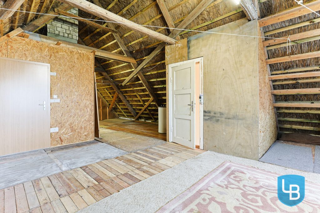 Immobilienangebot - Helmstorf / Kühren - Alle & Rest (Wohnen) - Reetdachidylle im Norden – DHH auf großem Grundstück mit Ausbaupotenzial