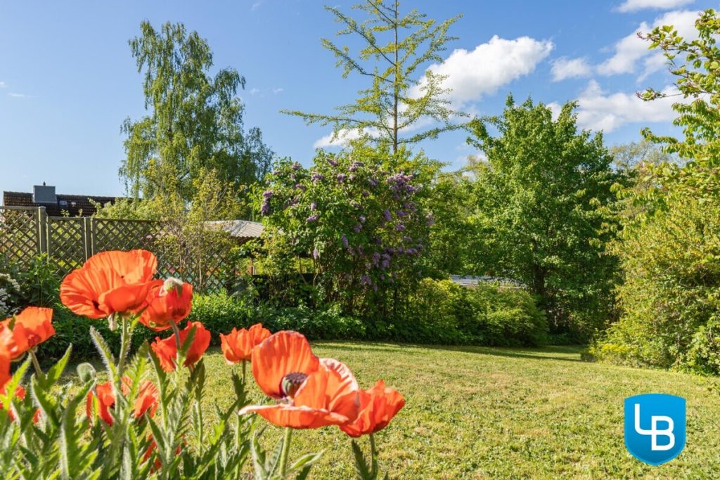 Immobilienangebot - Plön - Alle & Rest (Wohnen) - Viel Platz in Plön Appelwarder- Reihenendhaus mit herrlichem Grundstück