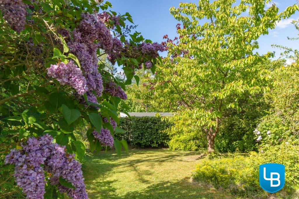 Immobilienangebot - Plön - Alle & Rest (Wohnen) - Viel Platz in Plön Appelwarder- Reihenendhaus mit herrlichem Grundstück