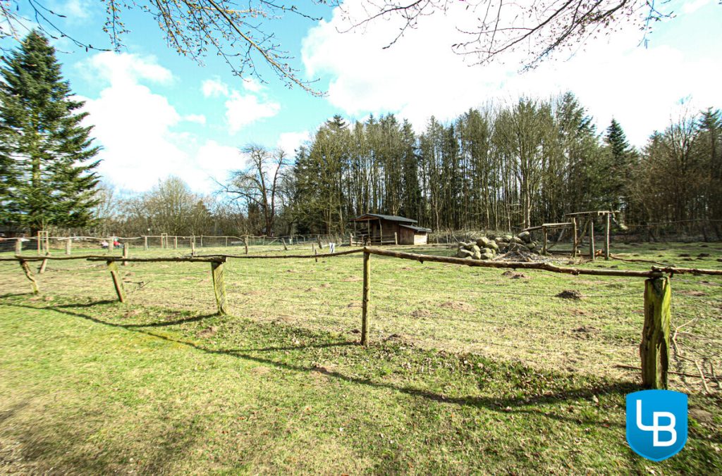 Immobilienangebot - Eutin - Alle & Rest (Wohnen) - "Parkwohnanlage Wilhelmshöhe" Diesen Ausblick können Sie mieten! Renovierte Wohnung sucht neue Bewohner
