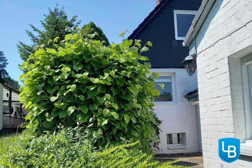 Immobilienangebot - Mönkeberg - Grundstücke - Der Förde ganz nah: Traumhaftes Grundstück am Kitzeberger Wald