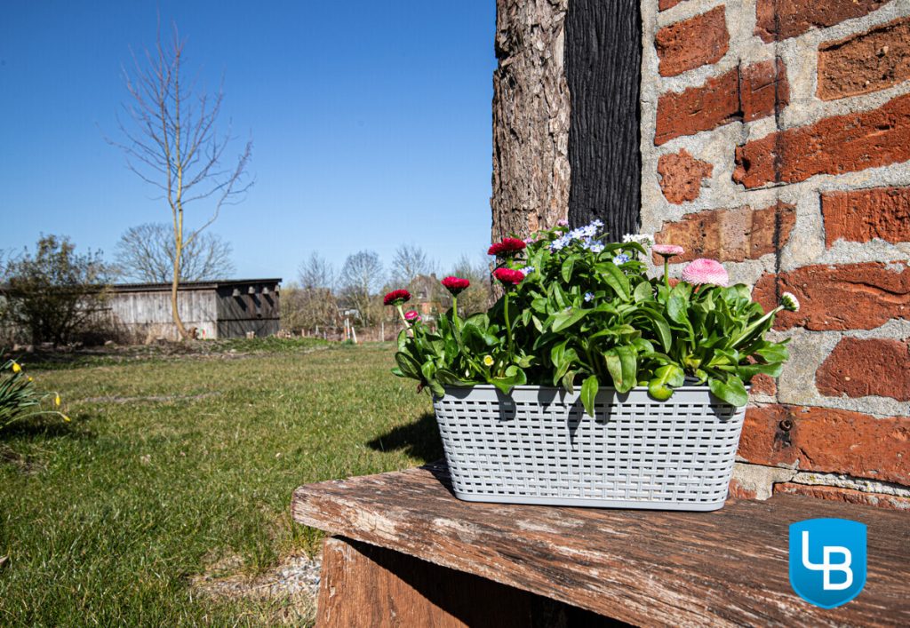 Immobilienangebot - Behrensdorf - Alle & Rest (Wohnen) - Dem herrlichen Ostseestrand ganz nahe! Tolles Reetdachhaus mit individuellen Nutzungsmöglichkeiten