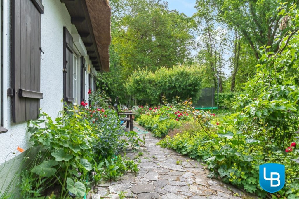 Immobilienangebot - Plön - Alle & Rest (Wohnen) - Malerisches Reetdachhaus nahe des Großen Plöner Sees – Wohnen, wo andere Urlaub machen