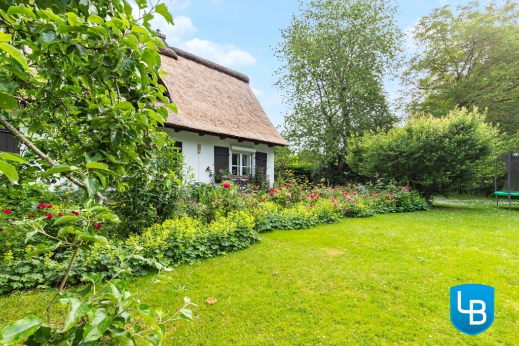 Immobilienangebot - Plön - Alle & Rest (Wohnen) - Malerisches Reetdachhaus nahe des Großen Plöner Sees – Wohnen, wo andere Urlaub machen