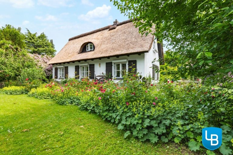 Immobilienangebot - Plön - Alle & Rest (Wohnen) - Malerisches Reetdachhaus nahe des Großen Plöner Sees – Wohnen, wo andere Urlaub machen