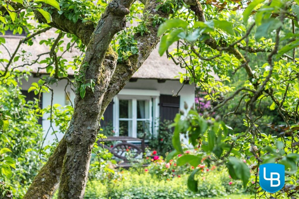 Immobilienangebot - Plön - Alle & Rest (Wohnen) - Malerisches Reetdachhaus nahe des Großen Plöner Sees – Wohnen, wo andere Urlaub machen