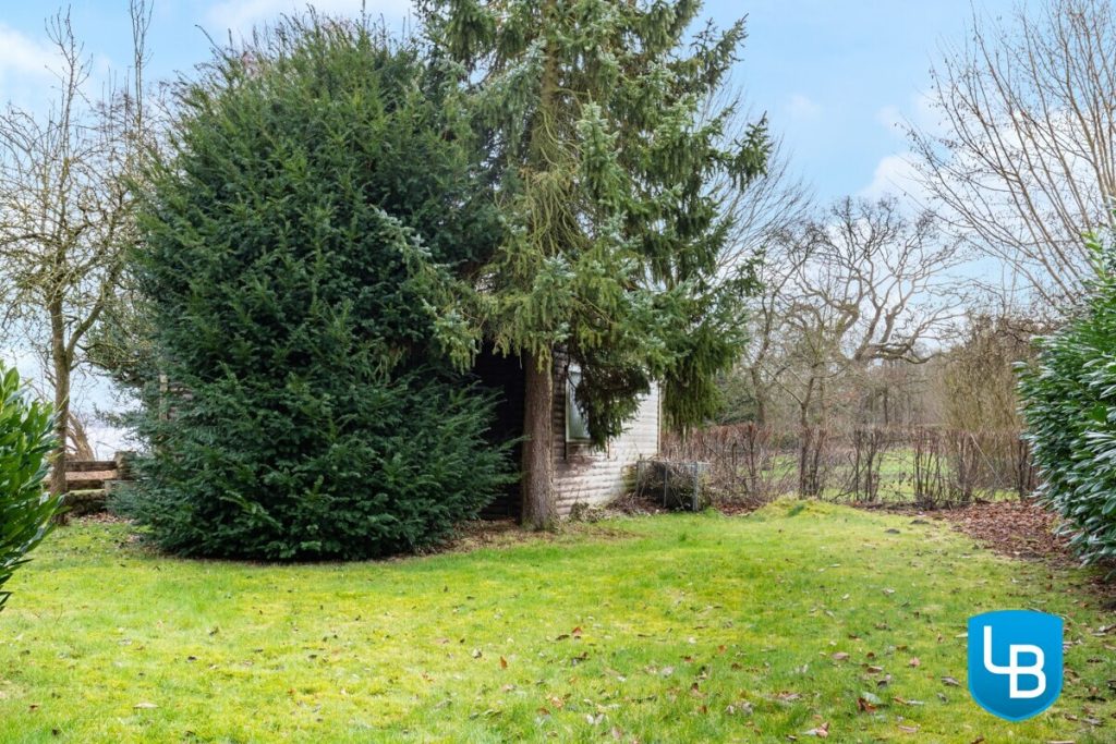 Immobilienangebot - Nehmten / Godau - Alle & Rest (Wohnen) - So klingt Ruhe – Zuhause am Plöner See mit Charakter!