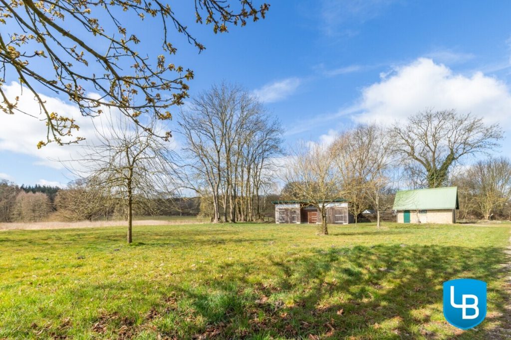 Immobilienangebot - Godau - Alle & Rest (Wohnen) - Traumhaftes Anwesen mit Stall und Koppeln am See- Perfekt für Pferdefreunde