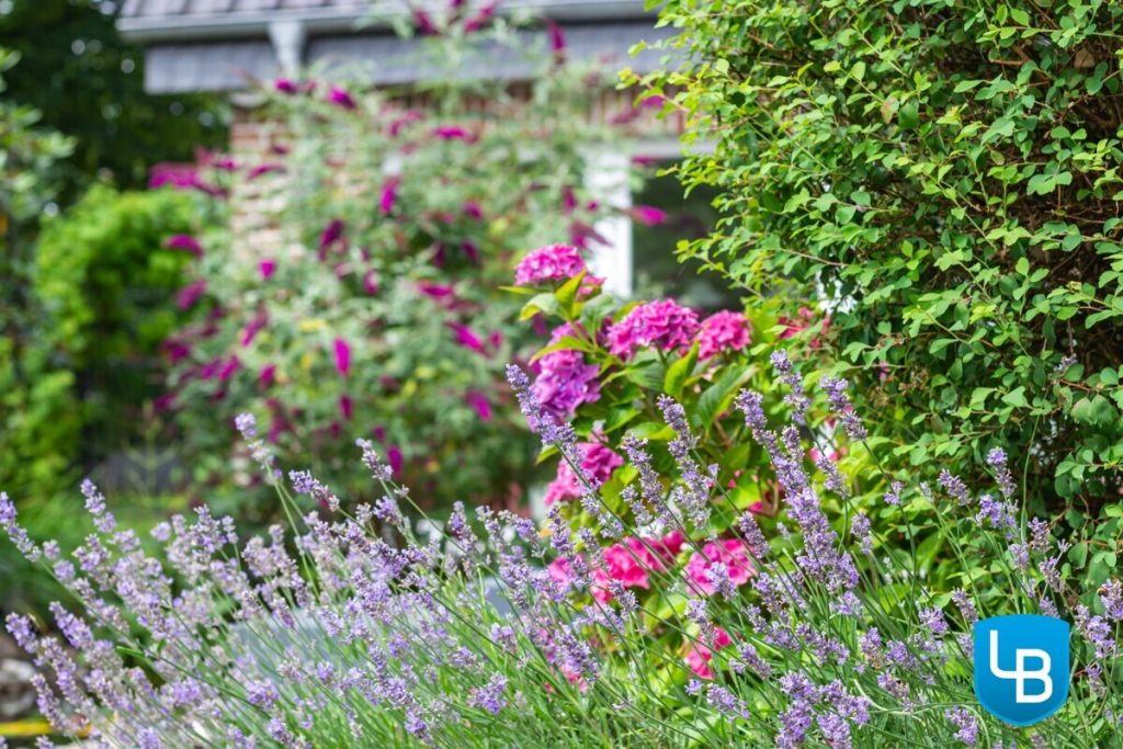Immobilienangebot - Hamburg - Alle & Rest (Wohnen) - Ihr energieeffizientes, modernes Zuhause mit Einliegerwohnung, großem Garten und überdachtem Pool
