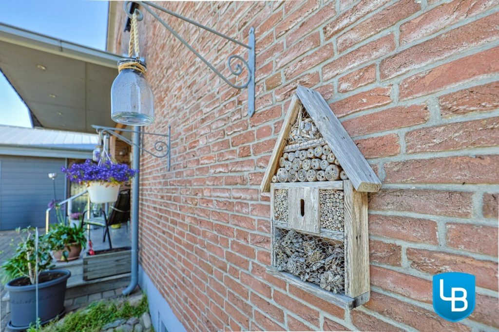 Immobilienangebot - Rathjensdorf / Theresienhof - Alle & Rest (Wohnen) - Idylle am Feldrand: Einfamilienhaus auf großem Grundstück mit zusätzlicher Bebauungsmöglichkeit