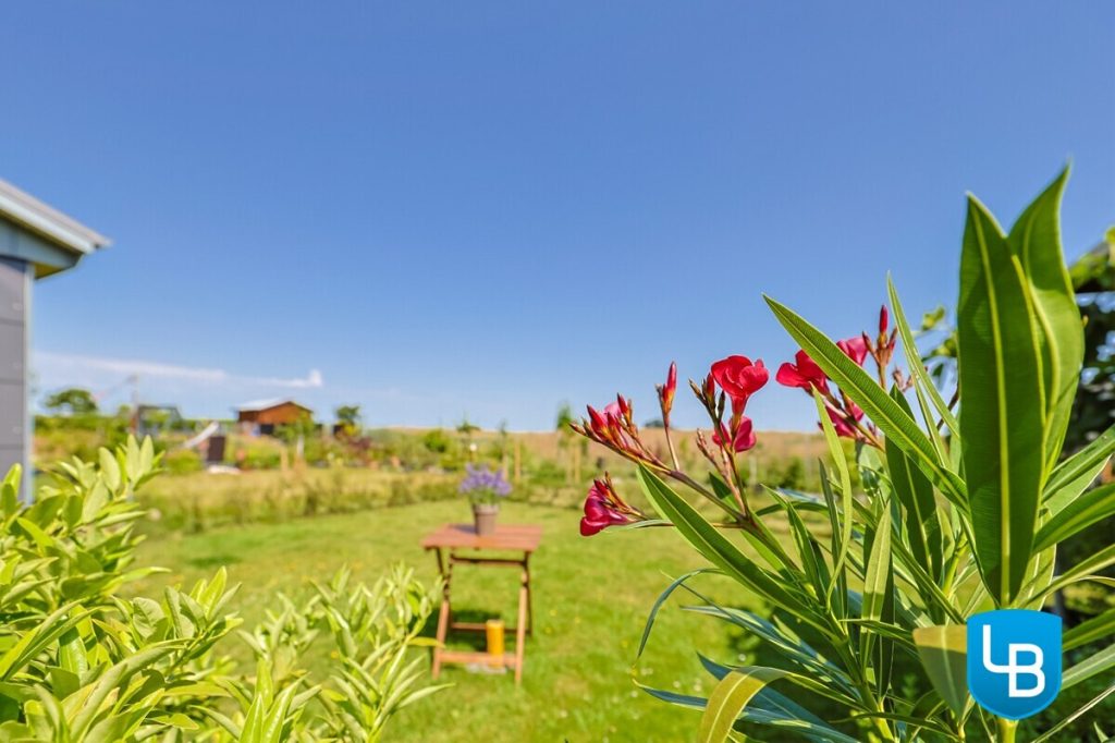 Immobilienangebot - Rathjensdorf / Theresienhof - Alle & Rest (Wohnen) - Idylle am Feldrand: Einfamilienhaus auf großem Grundstück mit zusätzlicher Bebauungsmöglichkeit