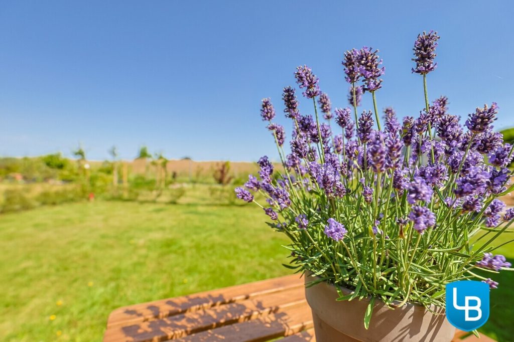 Immobilienangebot - Rathjensdorf / Theresienhof - Alle & Rest (Wohnen) - Idylle am Feldrand: Einfamilienhaus auf großem Grundstück mit zusätzlicher Bebauungsmöglichkeit
