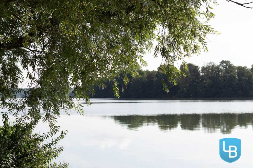 Immobilienangebot - Eutin - Alle & Rest (Wohnen) - Neuwertiges Einfamilienhaus – Bezugsfertig und familienfreundlich