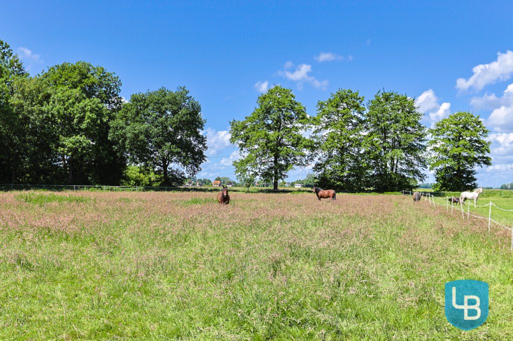 Immobilienangebot - Kiebitzreihe / Bekenreihe - Alle & Rest (Wohnen) - Wo Neubauqualität auf Hofcharakter trifft -außergewöhnliches Landanwesen mit Reitanlage und Halle