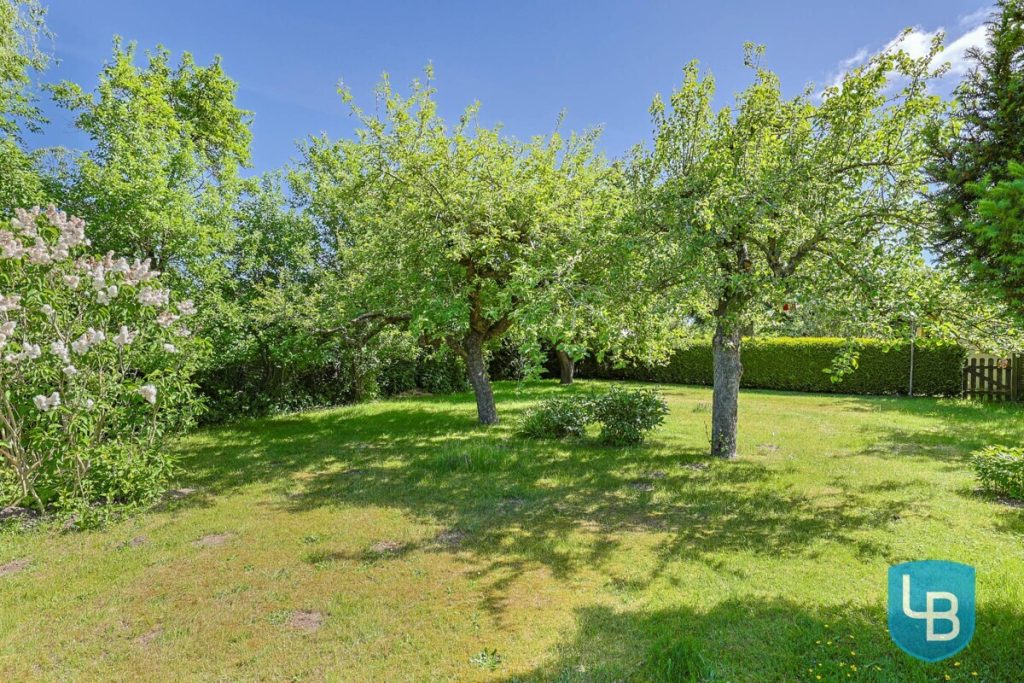 Immobilienangebot - Bösdorf Oberkleveez - Alle & Rest (Wohnen) - Verwirklichen Sie Ihre Wohnträume in Bösdorf! Einfamilienhaus in Feldrandlage