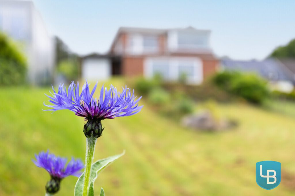 Immobilienangebot - Eckernförde - Alle & Rest (Wohnen) - Weite Ausblicke, großzügige Räume – Ihr Zuhause nahe der Eckernförder Bucht