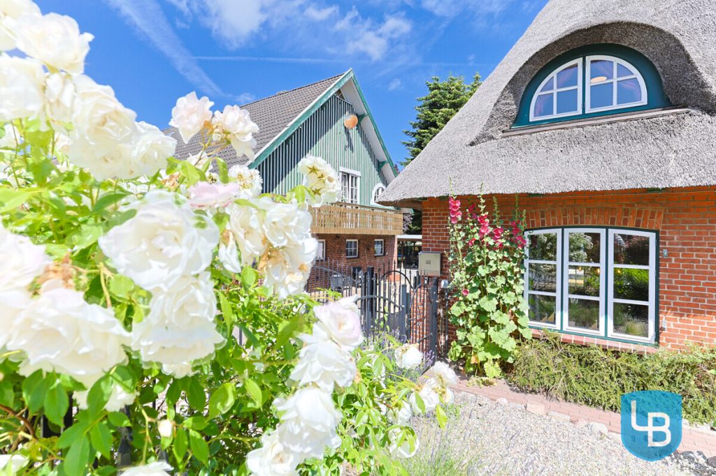Immobilienangebot - Lebrade - Alle & Rest (Wohnen) - Außergewöhnlich vielseitig – Reetdachkate mit zusätzlicher Haushälfte in Lebrade
