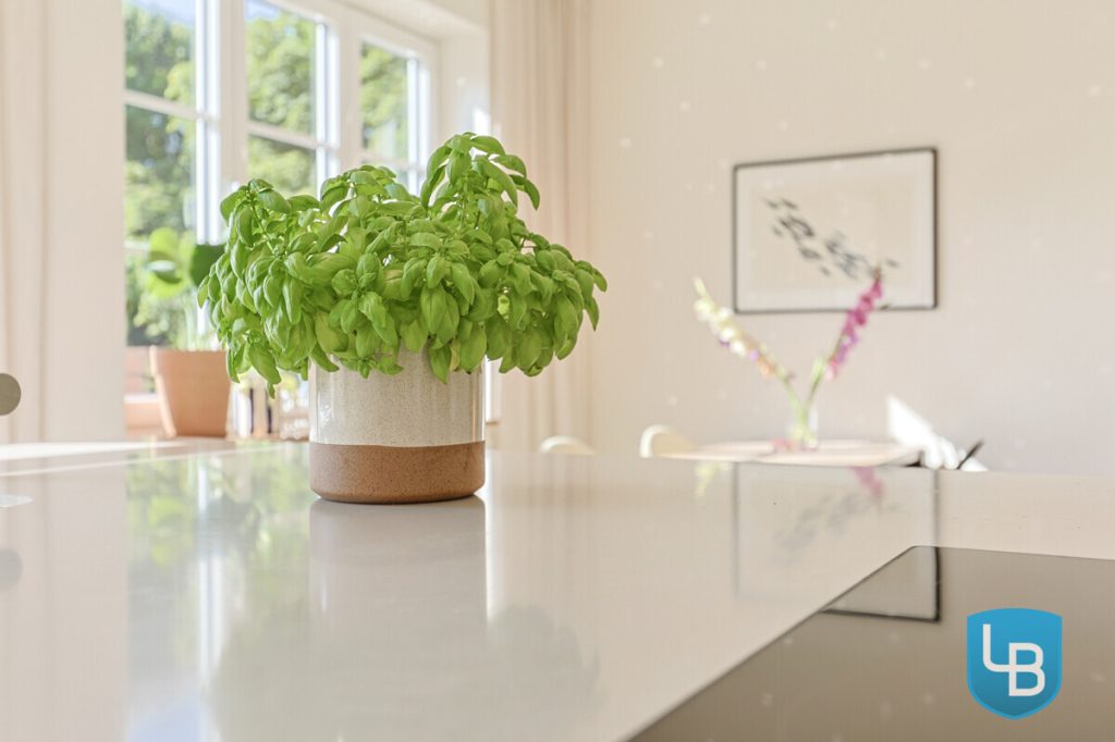 Immobilienangebot - Kiel - Alle & Rest (Wohnen) - Perfekte Lage in Uni-Nähe – Top modernisierte 2,5-Zimmer-Wohnung mit Stellplatz, sofort bezugsfrei