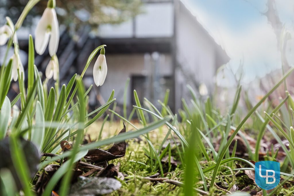 Immobilienangebot - Heikendorf - Grundstücke - Für Bauherren:  Grundstück mit Altbestand erwartet Ihren Neubau
