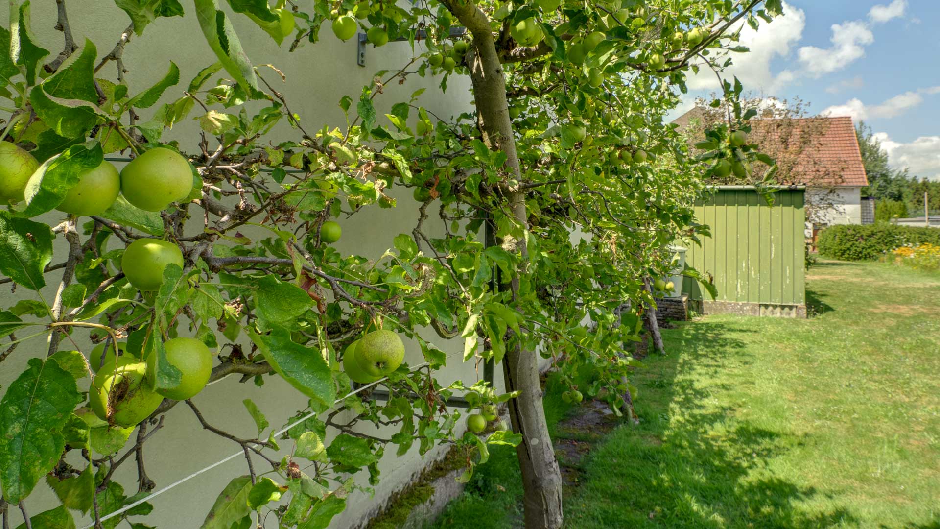 6254 | Grundstück zu kaufen in Schloß Neuhaus - Bild-1 | thater IMMOBILIEN Thater Immobilien GmbH - Immobilienangebot - Paderborn - Grundstücke - 6254 | Grundstück zu kaufen in Schloß Neuhaus